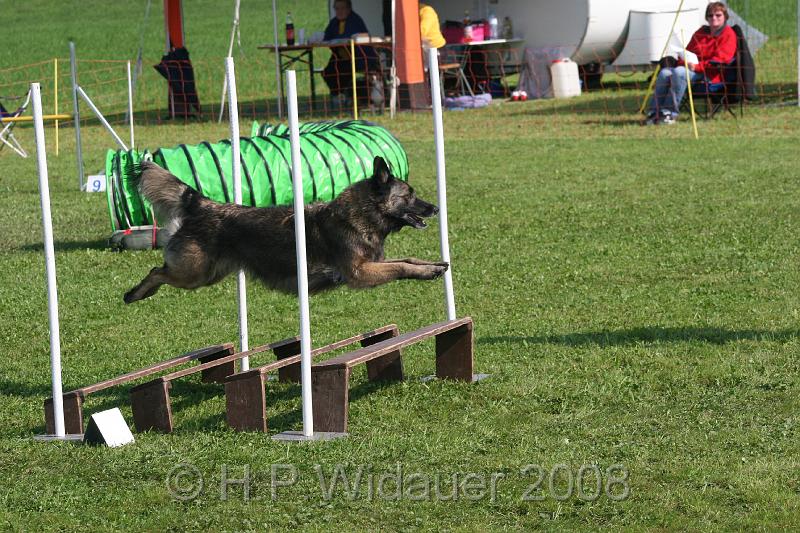 jubil.lusten. 106.jpg